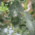 085002_20181016105157_01.JPG