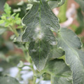 085002_20181016105157_02.JPG