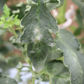 085002_20181016105157_03.JPG
