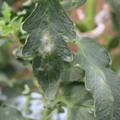 085002_20181016105158_01.JPG