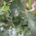 085002_20181016105158_02.JPG