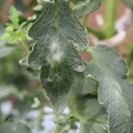 085002_20181016105158_03.JPG