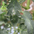 085002_20181016105158_04.JPG