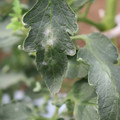 085002_20181016105159_02.JPG