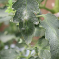 085002_20181016105159_03.JPG