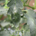 085002_20181016105159_04.JPG