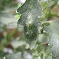 085002_20181016105200_02.JPG