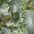 085002_20181016105200_03.JPG