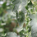 085002_20181016105201_01.JPG