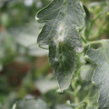 085002_20181016105201_02.JPG