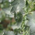 085002_20181016105201_03.JPG