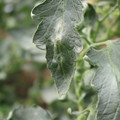 085002_20181016105201_04.JPG
