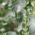 085002_20181016105202_01.JPG