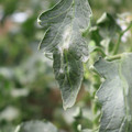 085002_20181016105202_02.JPG