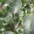 085002_20181016105202_03.JPG