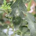 085002_20181016105206_01.JPG