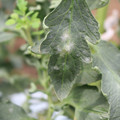085002_20181016105206_03.JPG