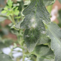 085002_20181016105207_01.JPG