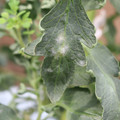 085002_20181016105207_02.JPG