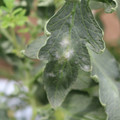 085002_20181016105207_05.JPG