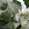 085002_20181016105232_01.JPG