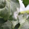 085002_20181016105233_02.JPG