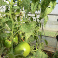 089904_20171117130038_01.JPG