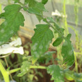 089904_20171117130320_01.JPG