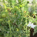 089904_20171117130811_01.JPG
