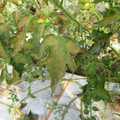 089904_20171117130917_01.JPG