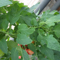 159901_20171025104420_01.JPG