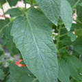 159901_20171025104443_01.JPG