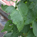 159901_20171025104532_01.JPG