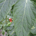 159901_20171025104652_01.JPG