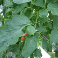 159901_20171025104915_01.JPG