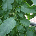 159901_20171025104919_01.JPG