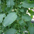 159901_20171025104945_01.JPG
