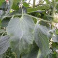 159901_20171025105048_01.JPG