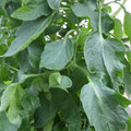 159901_20171025105056_01.JPG