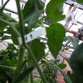 159901_20171025105138_01.JPG