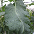 159901_20171025105144_01.JPG