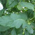 159901_20171025105158_01.JPG