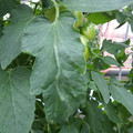 159901_20171025105210_01.JPG