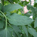 159901_20171025105224_01.JPG
