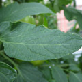 159901_20171025105231_01.JPG