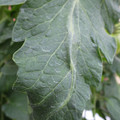 159901_20171025105246_01.JPG