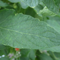 159901_20171025105300_01.JPG