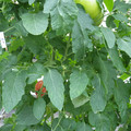 159901_20171025105308_01.JPG