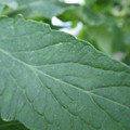 159901_20171025105334_01.JPG