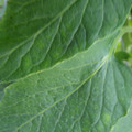 159901_20171108092912_01.JPG
